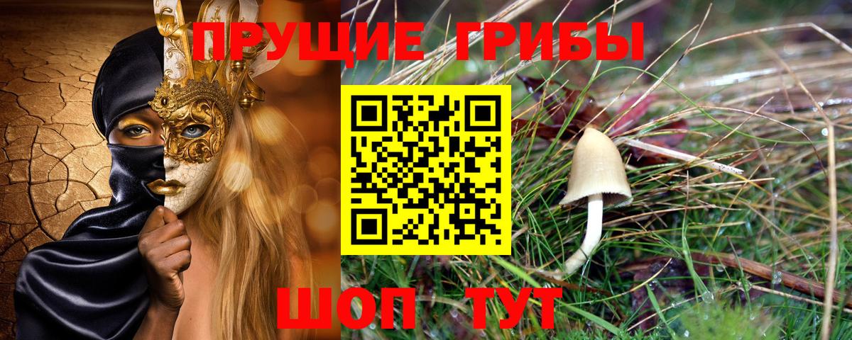 Галлюциногенные грибы Psilocybe Кольчугино